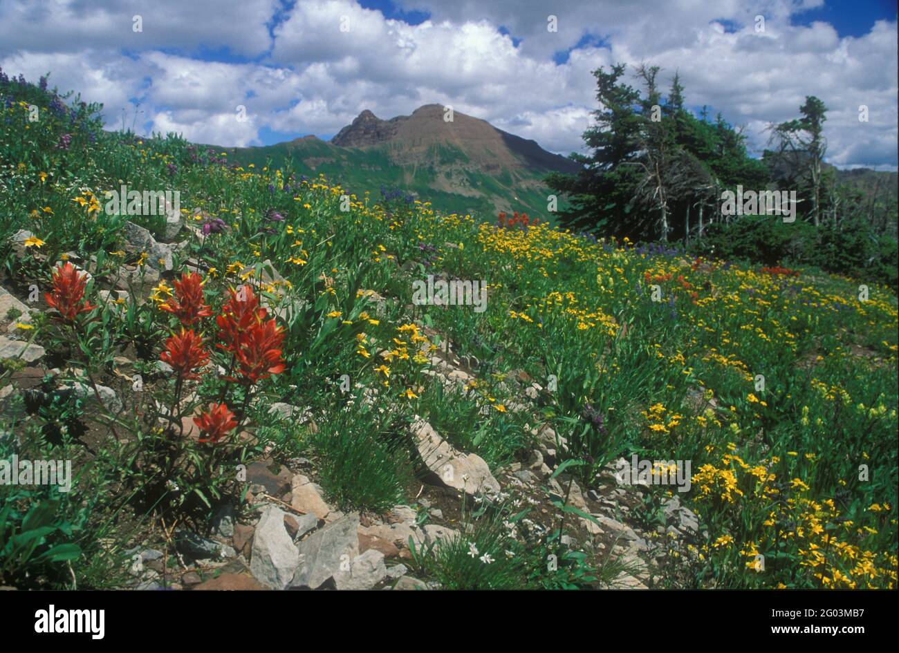 Crested Butte, Gunnison County, Colorado Foto Stock