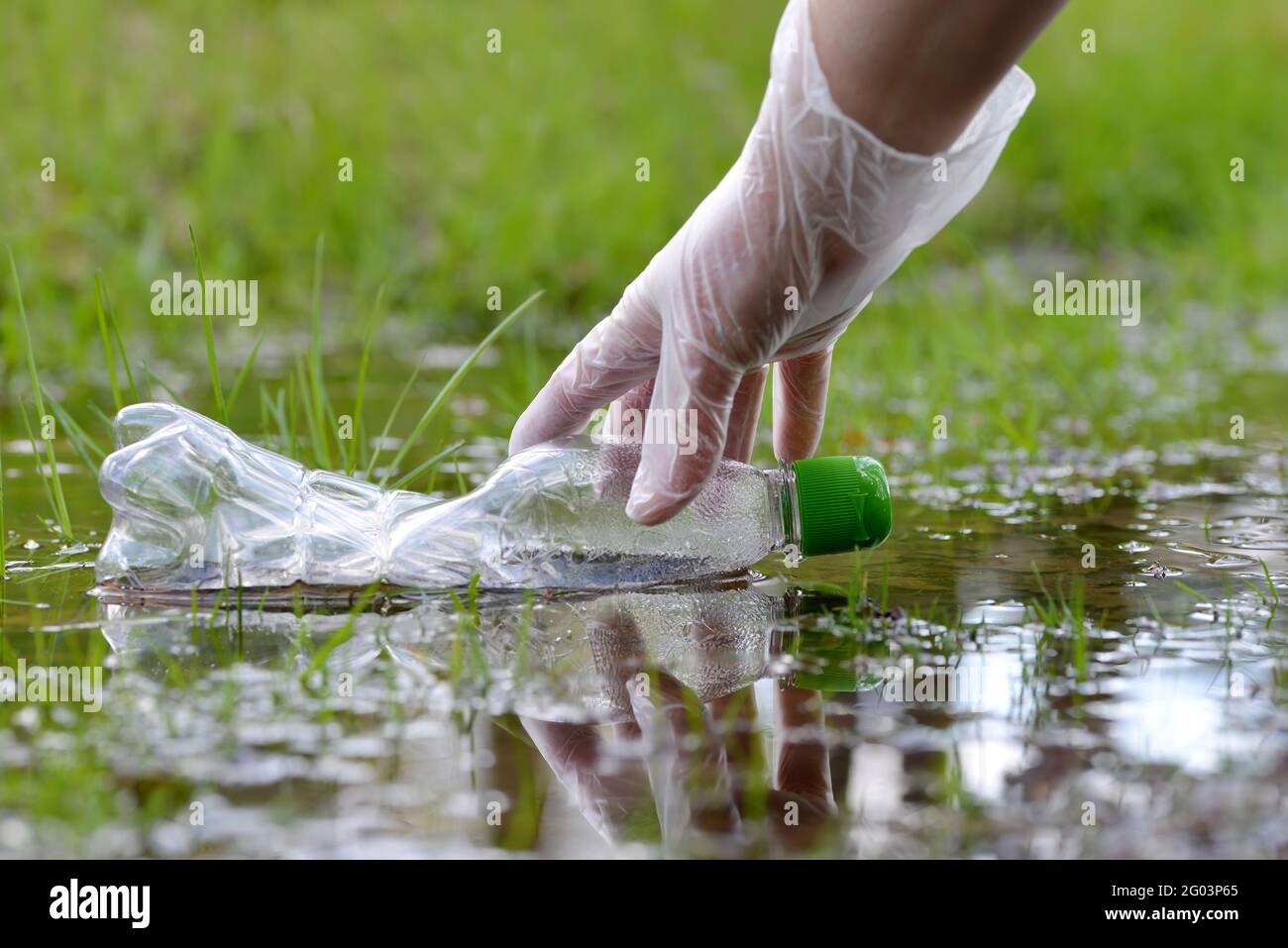 Mano femmina raccogliere bottiglia di plastica dal puddle di acqua nella foresta. Concetto di conservazione della natura. Foto Stock