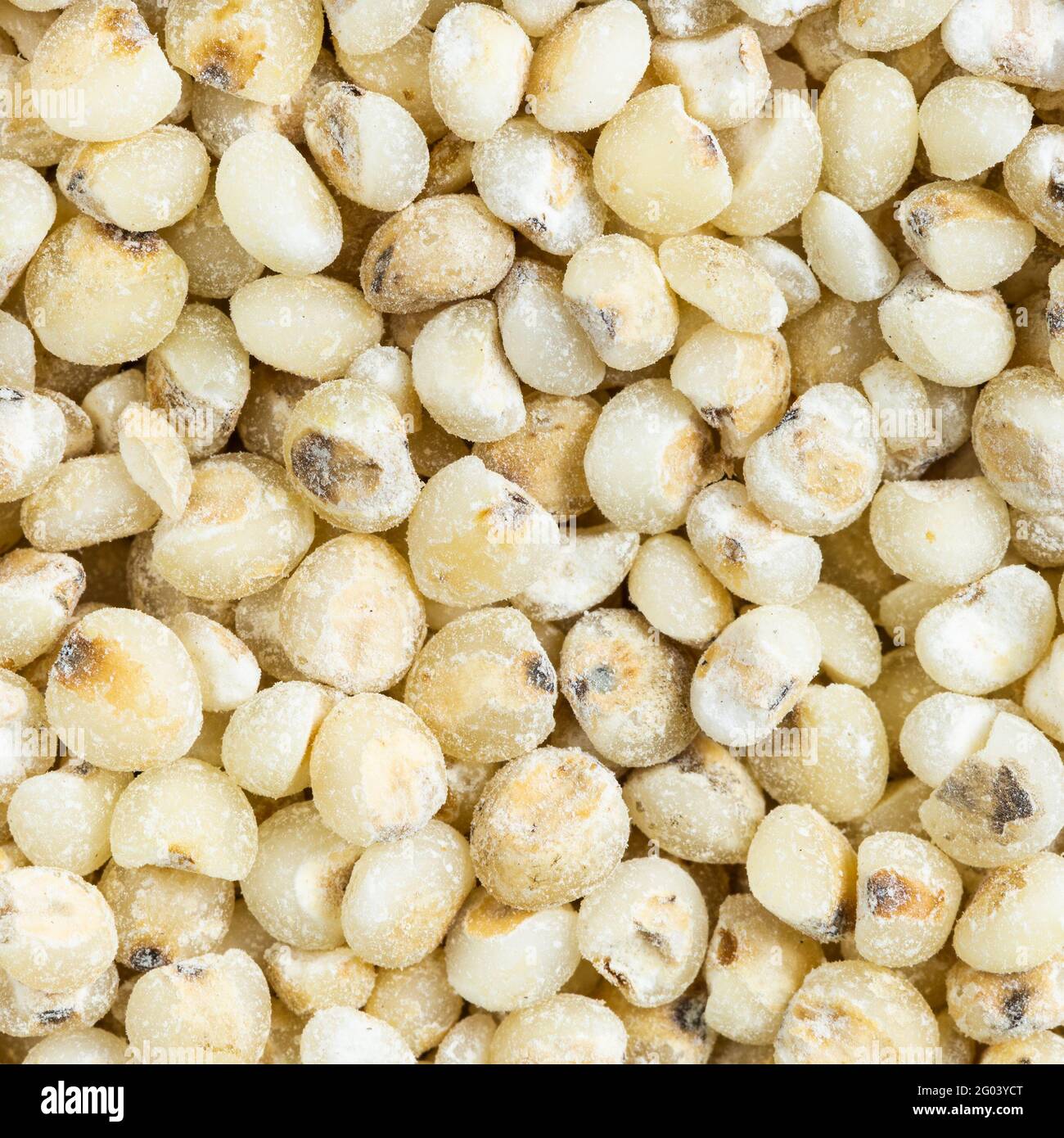 Square food background - groat di Sorghum groats crudi lucidati primo piano Foto Stock