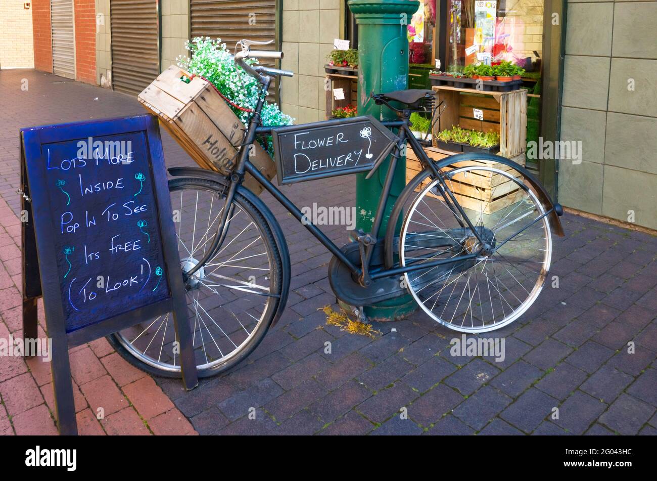 Un vecchio stile "commercio" bicicletta precedentemente utilizzato per le consegne ora promuovere la crema e marrone fioraio in Middlesbrough Foto Stock