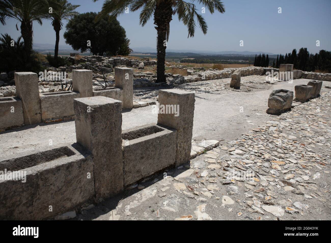 Tel Megiddo, Armageddon, le scuderie meridionali che risalgono ai Re Israeliti, ammira le colonne di pietra e le gole dai quali i cavalli mangiavano e bevevano. Foto Stock