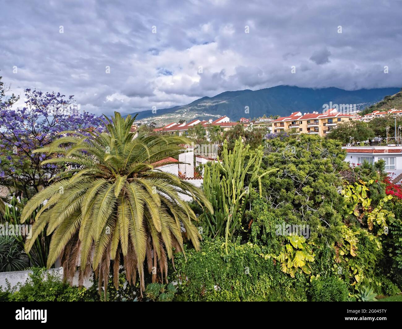 Puerto de la Cruz, sull'isola delle Canarie di Tenerife, vista sul verde quartiere di San Antonio con una vista verso Teide, che è coperto da un thi Foto Stock