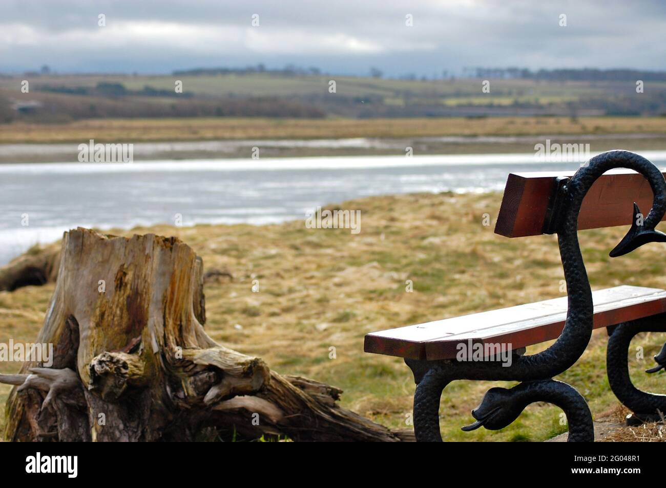 Un Berwick Serpent Bench che si affaccia sul fiume Tweed Foto Stock