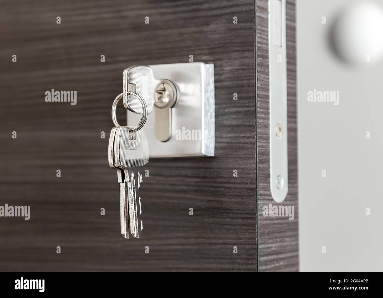 Primo piano delle chiavi nella serratura di una nuova casa. La porta d'ingresso. Immobiliare. Ipoteca. Foto Stock
