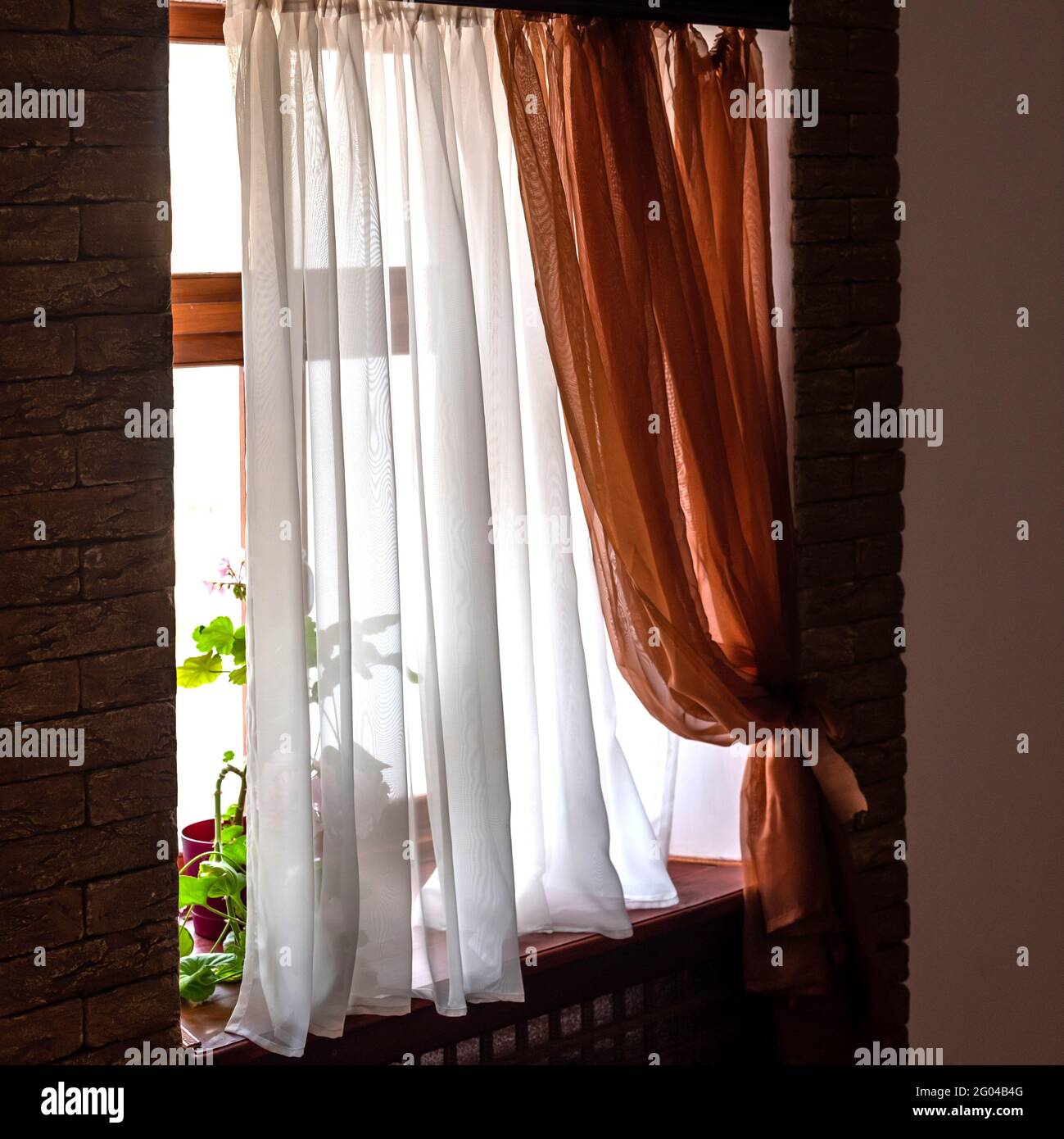 Tende eleganti appendono alla finestra con piante di casa sul davanzale Foto Stock