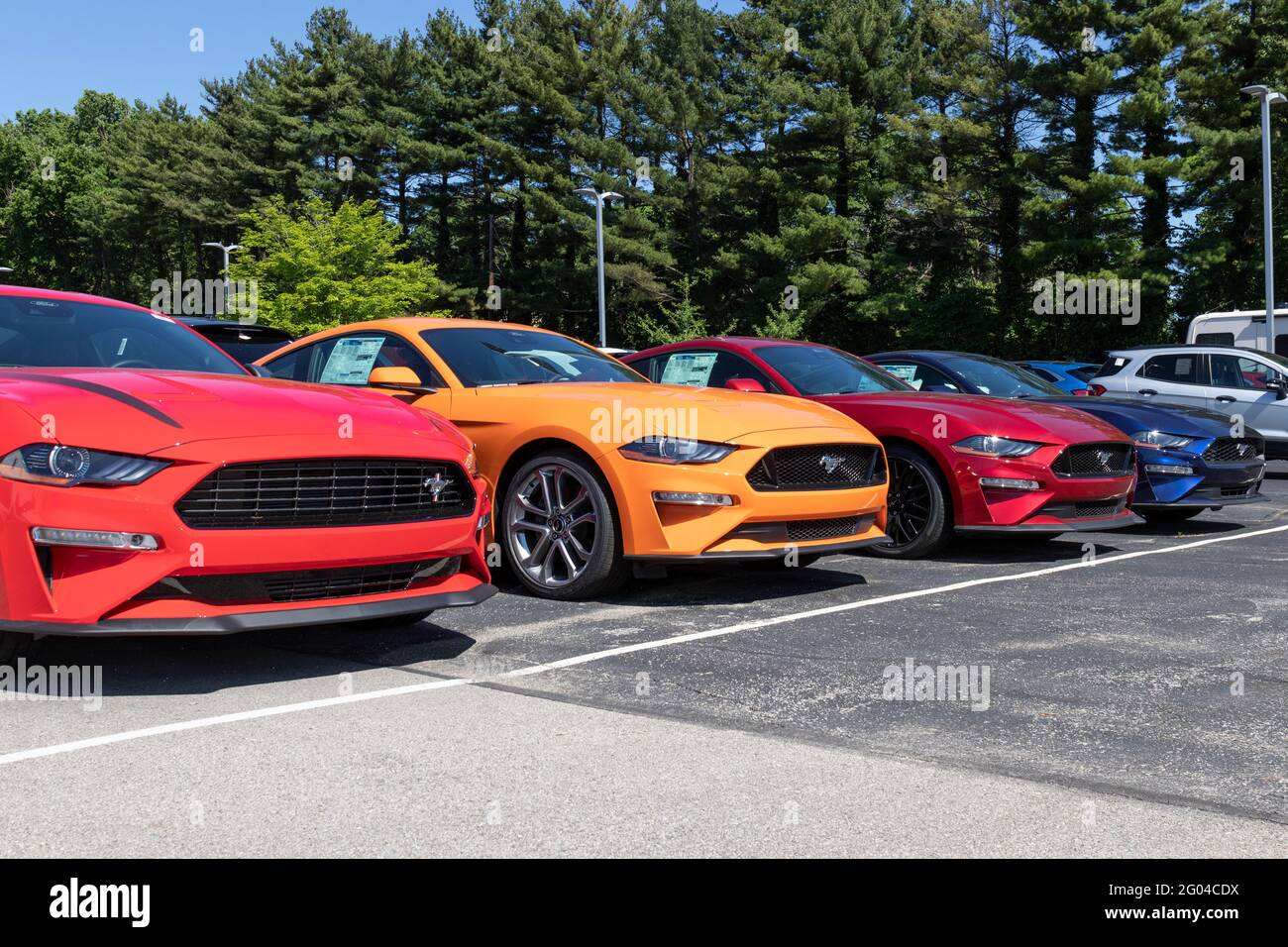 Indianapolis - circa 2021 maggio: Ford Mustang mostra presso una concessionaria. Ford offre il Mustang in un modello base, GT, Mach 1 o Shelby GT500. Foto Stock