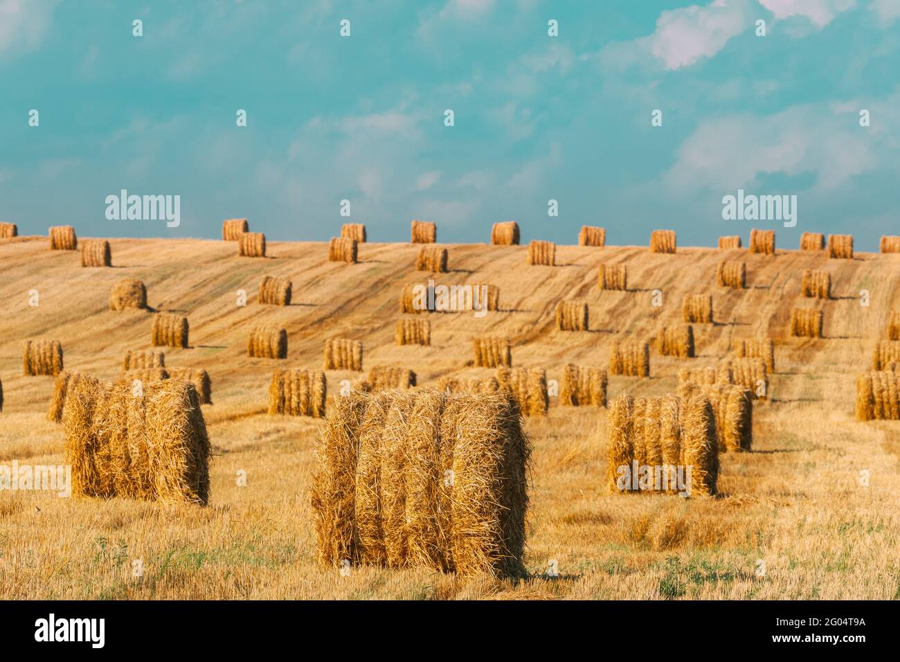 Estate Hay Rolls paglia campo paesaggio. Haystack, Hay Roll Foto Stock