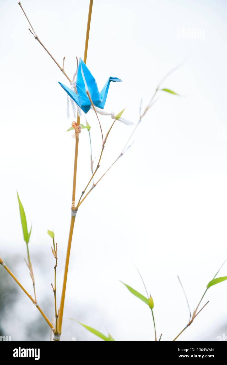 Gru di origami blu, simbolo giapponese della pace, appesa su una pianta di bambù all'aperto. Immagine con spazio di copia. Foto Stock