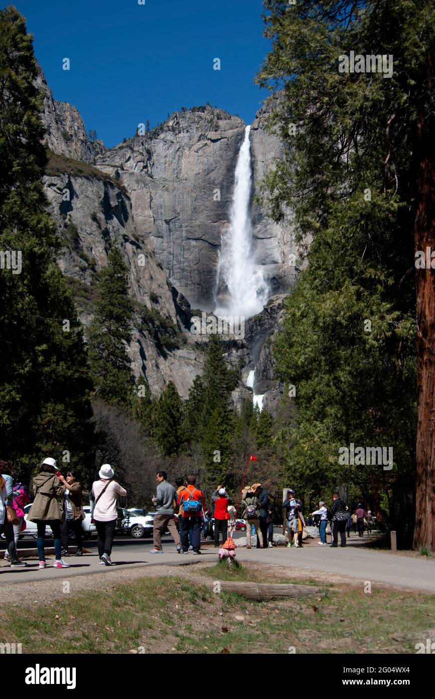 I turisti si fermano per ammirare e fotografare le iconiche e popolari Cascate di Upper e Lower Yosemite al Parco Nazionale Yosemite della California. Foto Stock