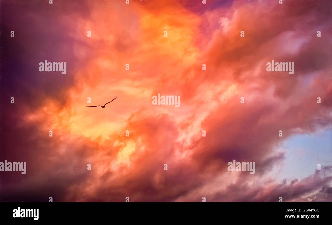 Un singolo uccello STA volando in UN cielo di tramonto rosso In formato pittura illustrazione Foto Stock