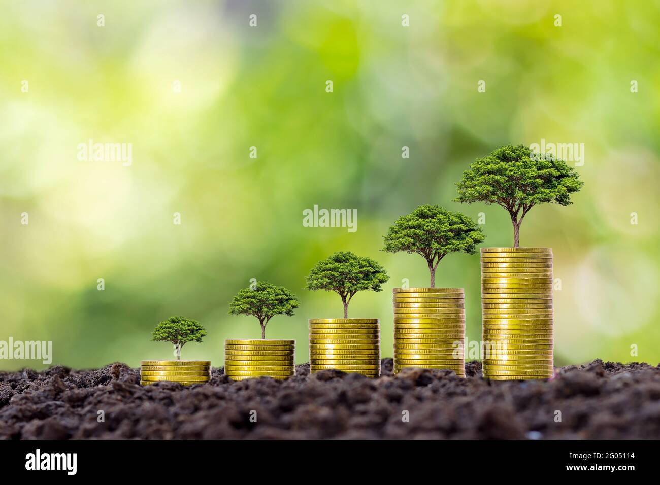 Monete e piante sono cresciute su un mucchio di monete per la finanza e il settore bancario. L'idea di risparmiare denaro e aumentare le finanze. Foto Stock