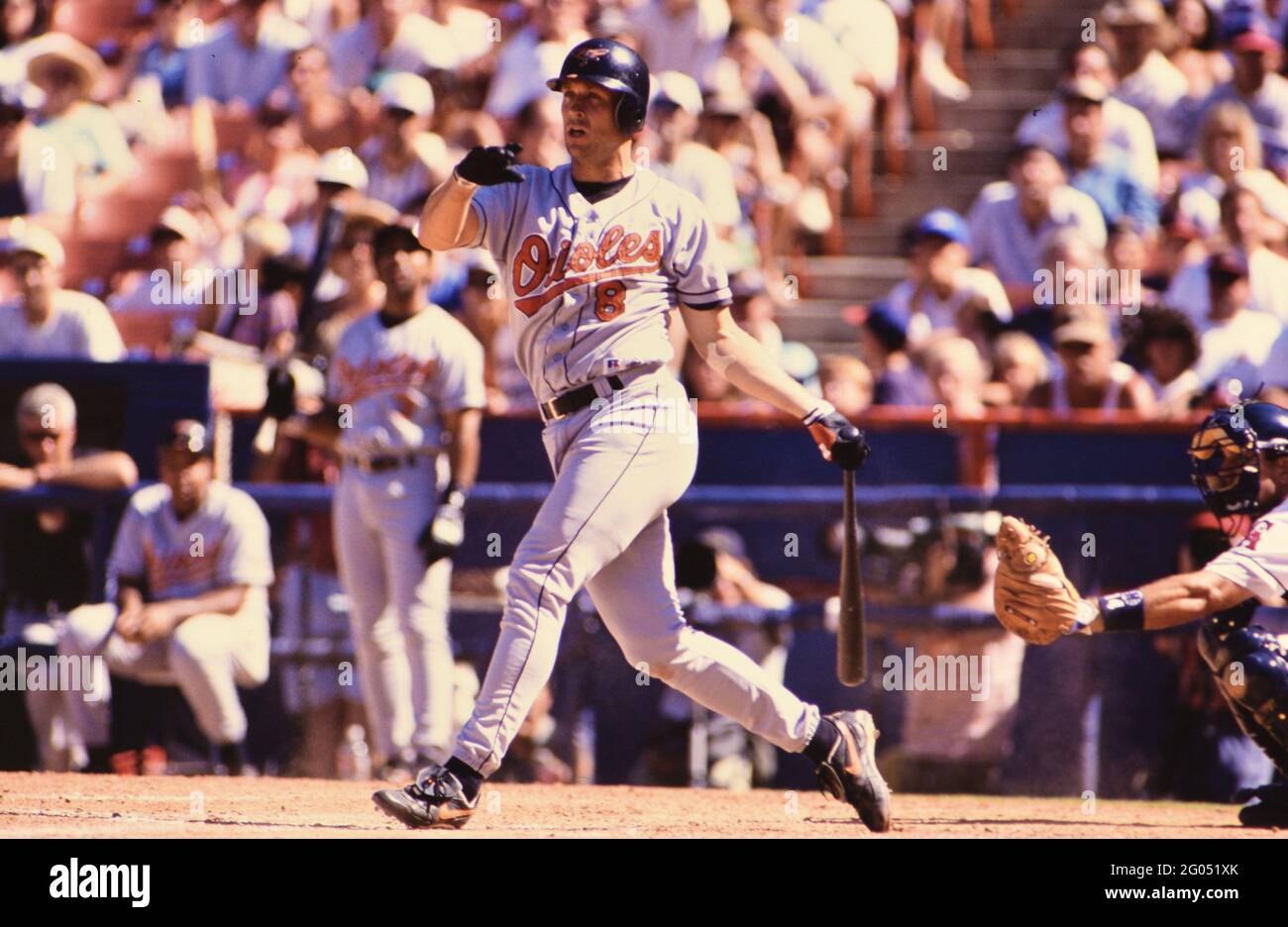 Baltimore Orioles giocatore di baseball Cal Ripken Jr. A bat -- si prega di credito fotografo Kirk Schlea Foto Stock