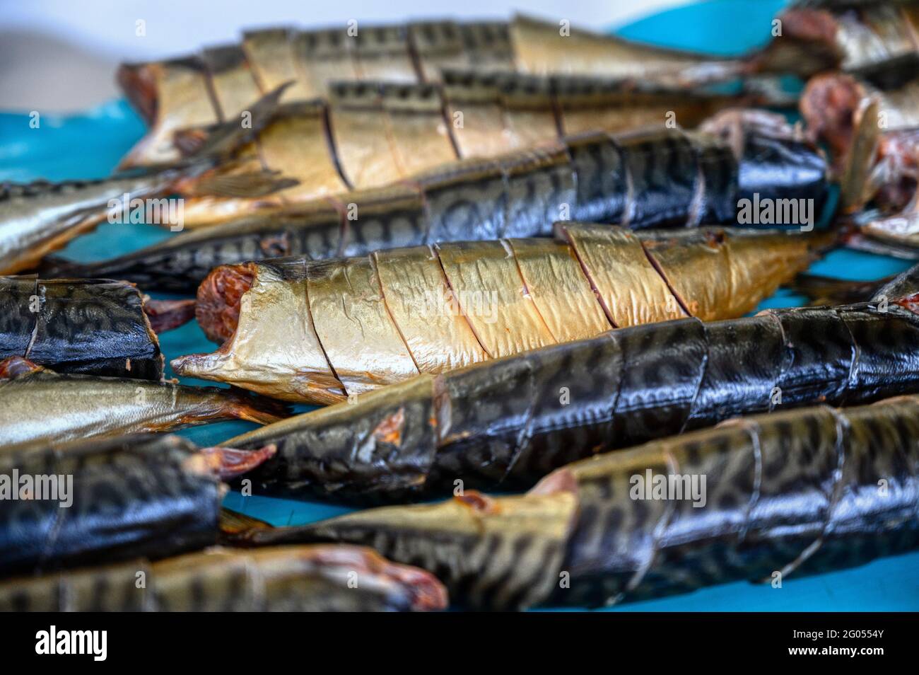 Pezzi di sgombro affumicato giacciono su un nastro trasportatore. Fabbrica di cibo di pesce. Foto Stock