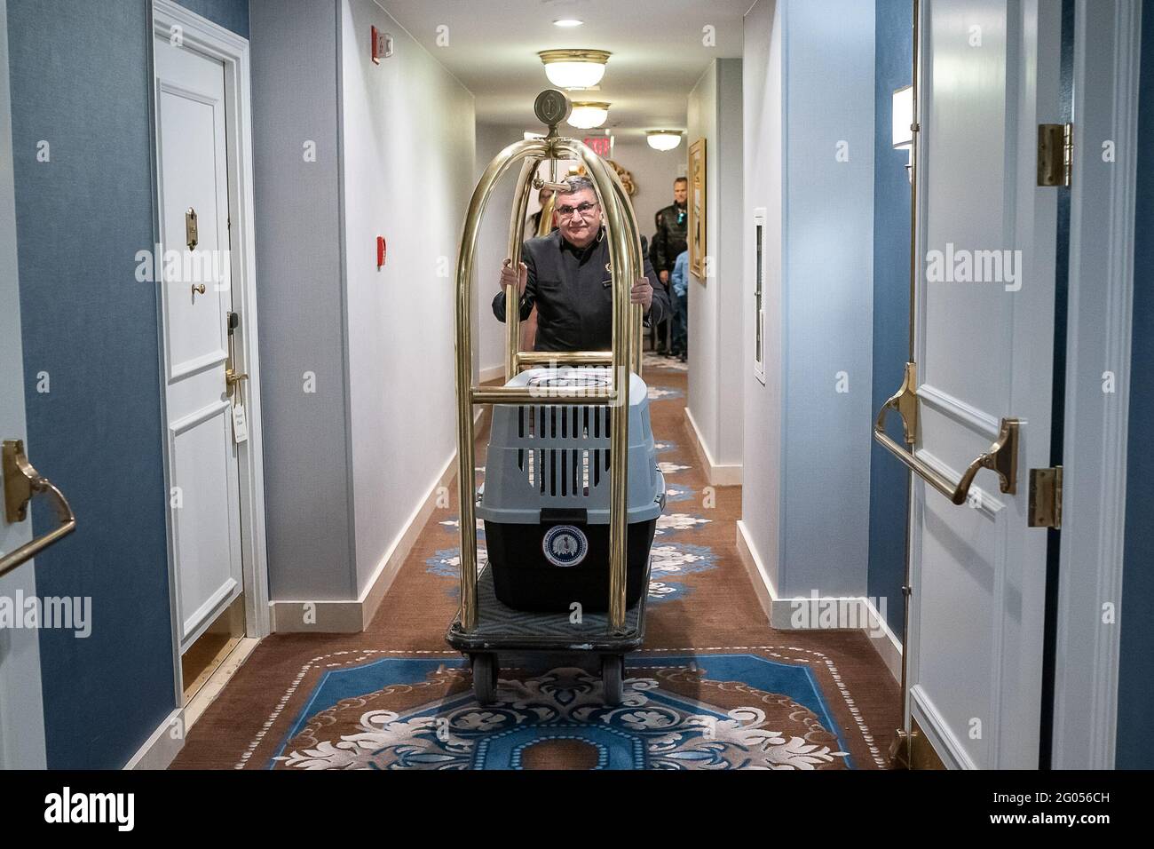 I Presidential Turkeys arrivano al Willard Hotel di Washington, D.C., domenica 24 novembre 2019, In vista della cerimonia di perdono della Turchia di martedì alla Casa Bianca Foto Stock