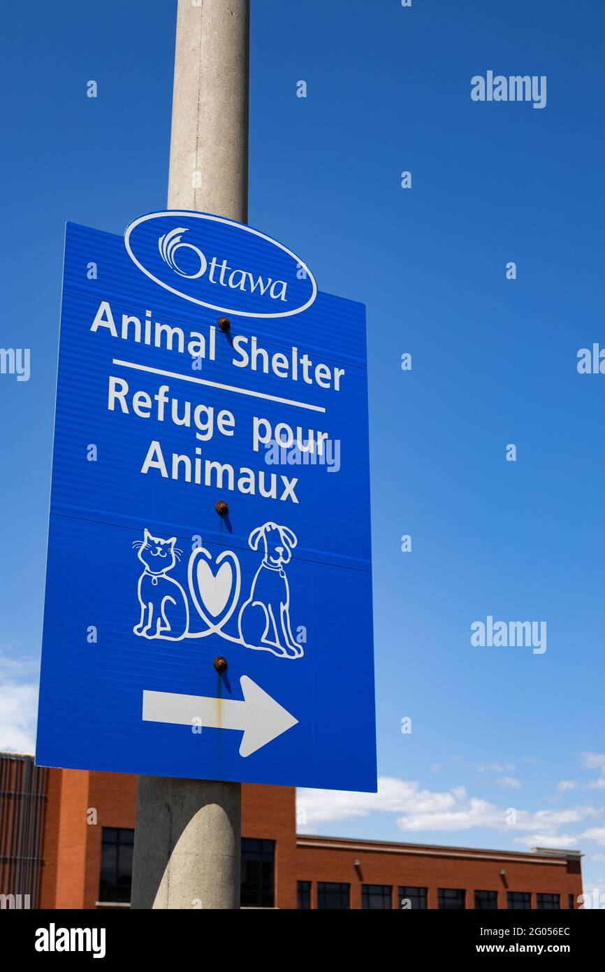 Ottawa, Ontario, Canada - 31 maggio 2021: Un cartello lungo la Merivale Road punta in direzione di una mensola per animali di Ottawa. Foto Stock