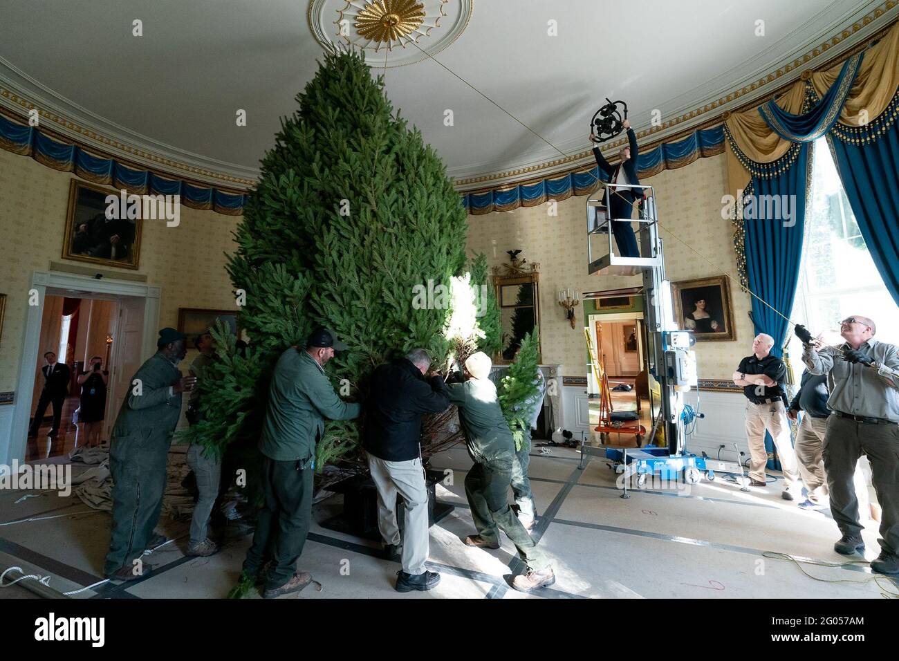 L'albero di Natale della Casa Bianca 2019 arriva lunedì 25 novembre 2019, ed è messo in su nella stanza blu della Casa Bianca. L'albero è stato cresciuto dalla famiglia Snyder da Mahantongo Valley Farms a Pitman, PA Foto Stock