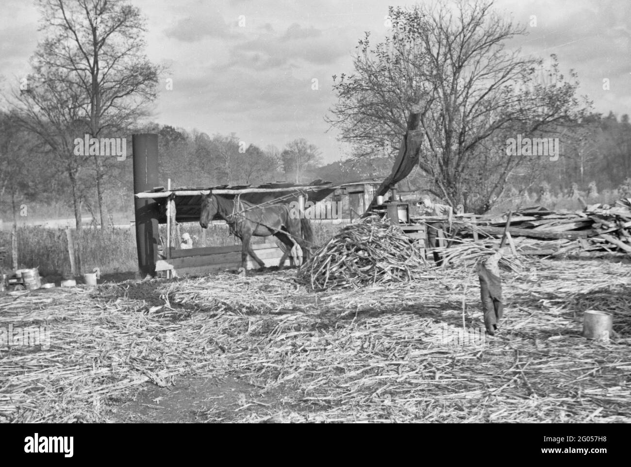 Sorghum canna mulino situato su una strada ben viaggiata vicino Nashville, Indiana, ottobre 1935 Foto Stock