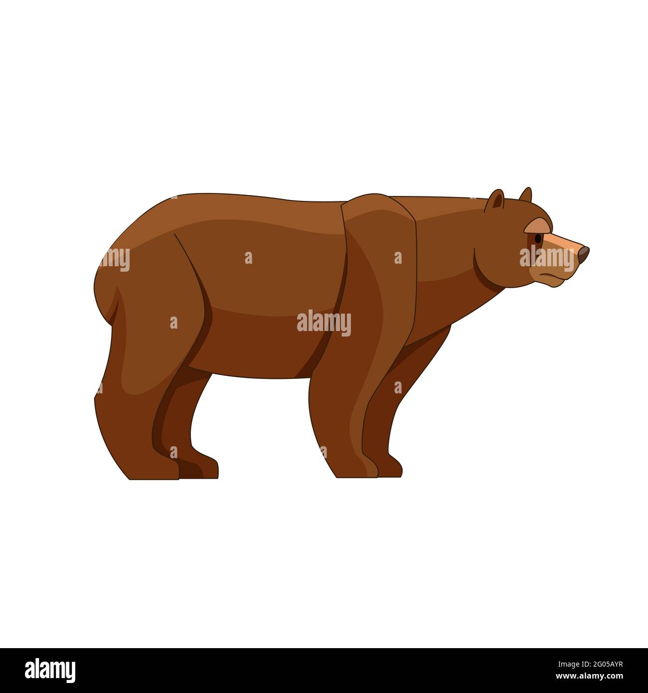 Un orso guardando. Personaggio cartoon di grande animale mammifero. Creatura della foresta selvaggia con pelliccia marrone. Immagine piatta vettoriale isolata su sfondo bianco Illustrazione Vettoriale