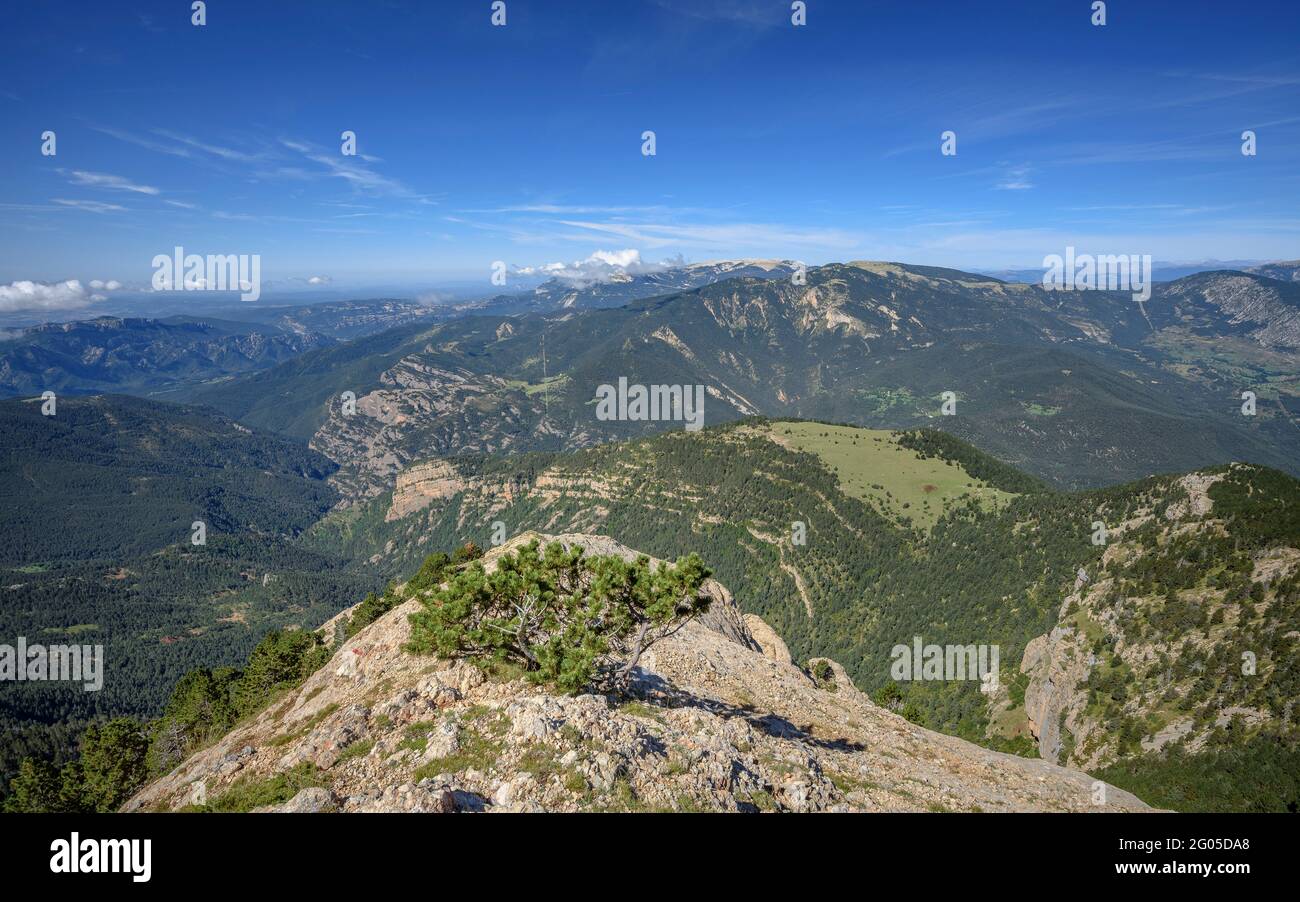 Vista dalla cima di Cap de la Gallina Pelada, guardando verso la catena del Porto del Comte (Berguedà, Catalogna, Spagna, Pirenei) Foto Stock