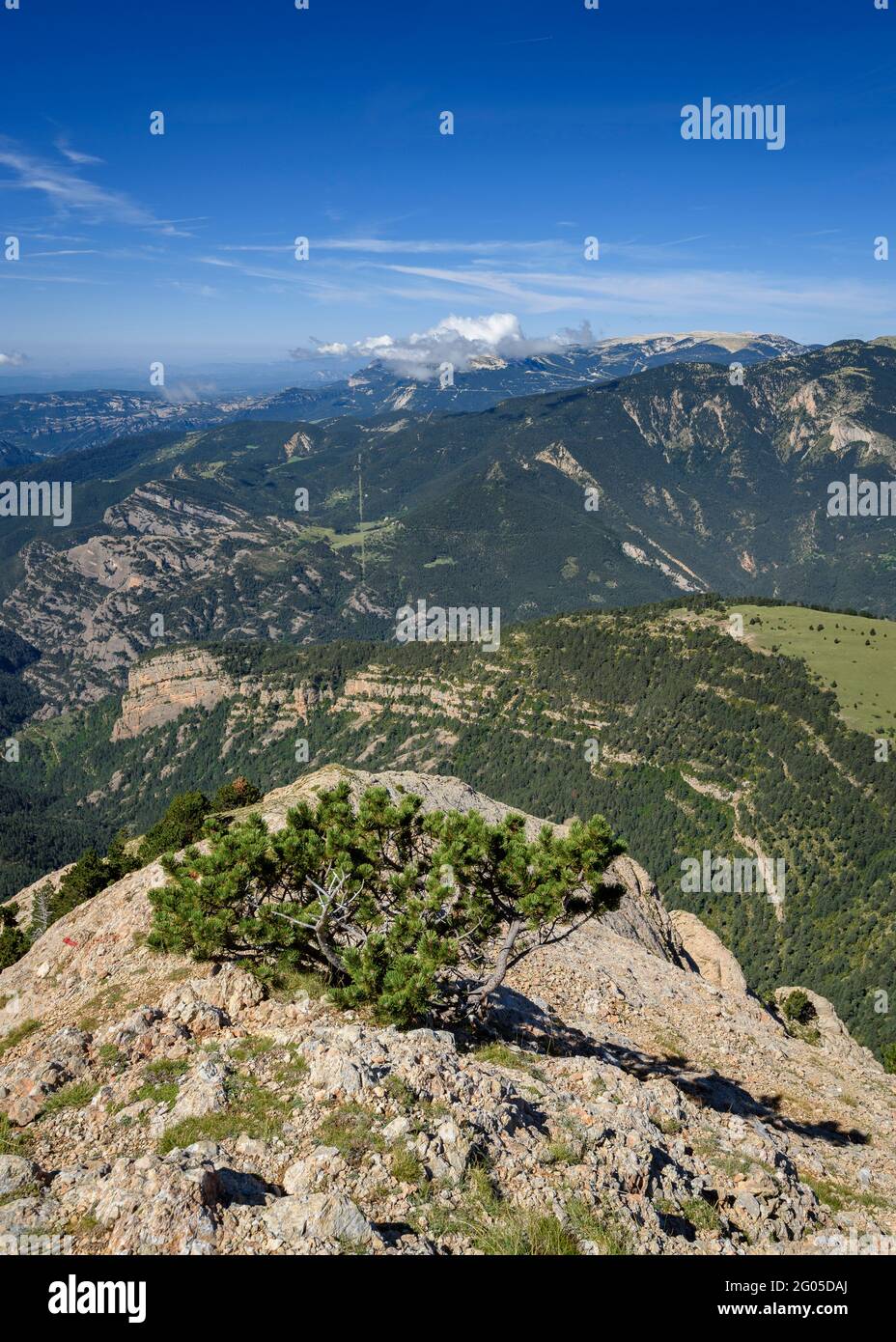 Vista dalla cima di Cap de la Gallina Pelada, guardando verso la catena del Porto del Comte (Berguedà, Catalogna, Spagna, Pirenei) Foto Stock