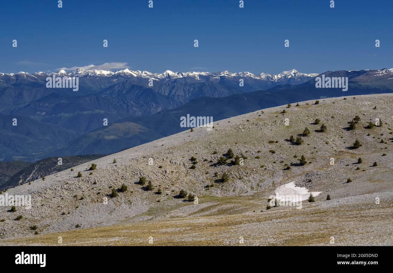 Vista dalla cima del Pedró dels Quatre Batlles, nella catena del Port del Comte (Lleida, Catalogna, Spagna, Pirenei) Foto Stock