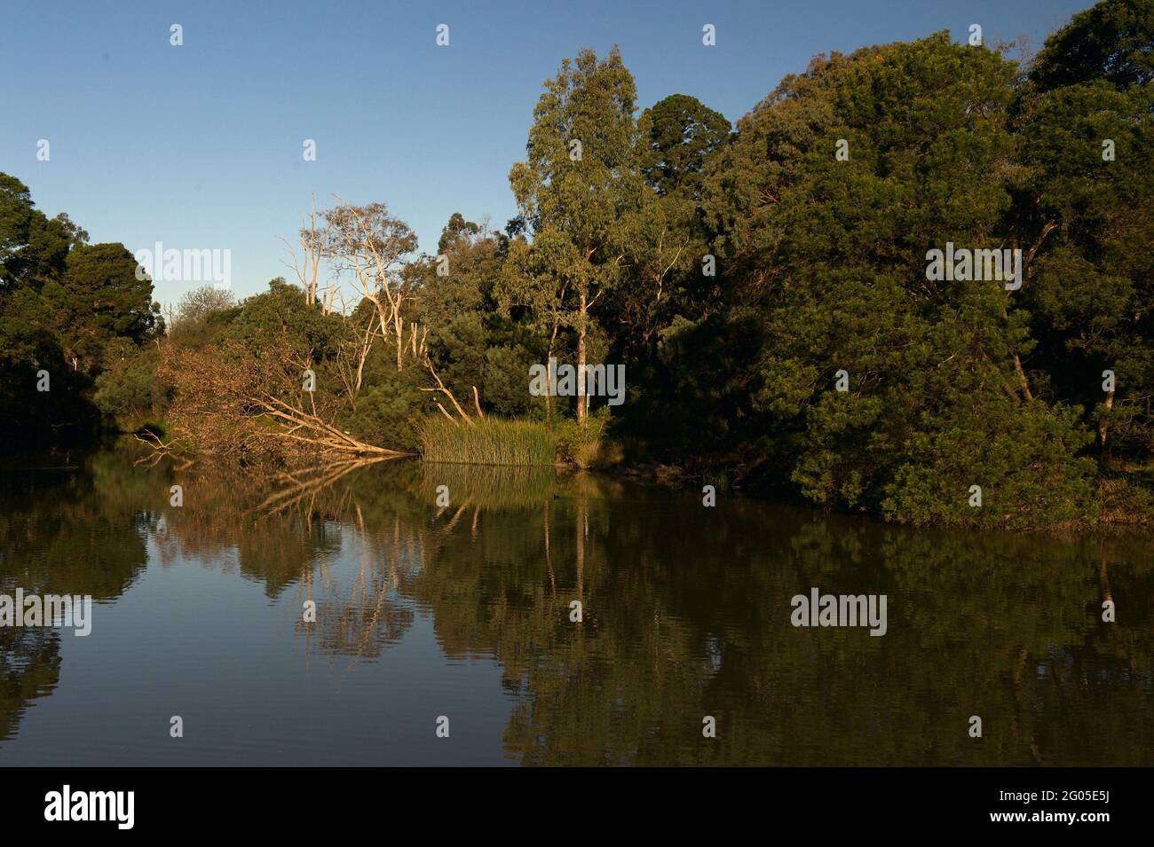 Il sole d'autunno dona un bagliore dorato, che si riflette nelle acque ferme del lago Ringwood nella città di Maroondah a Victoria, Australia. Foto Stock