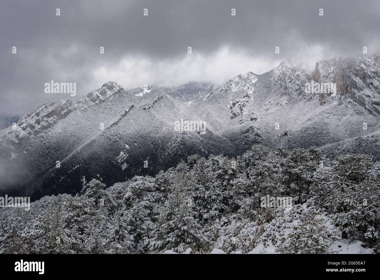 Alt Berguedà montagne viste dal Colle de Pal durante una nevicata invernale (Parco Naturale Cadí-Moixeró, Catalogna, Spagna, Pirenei) Foto Stock