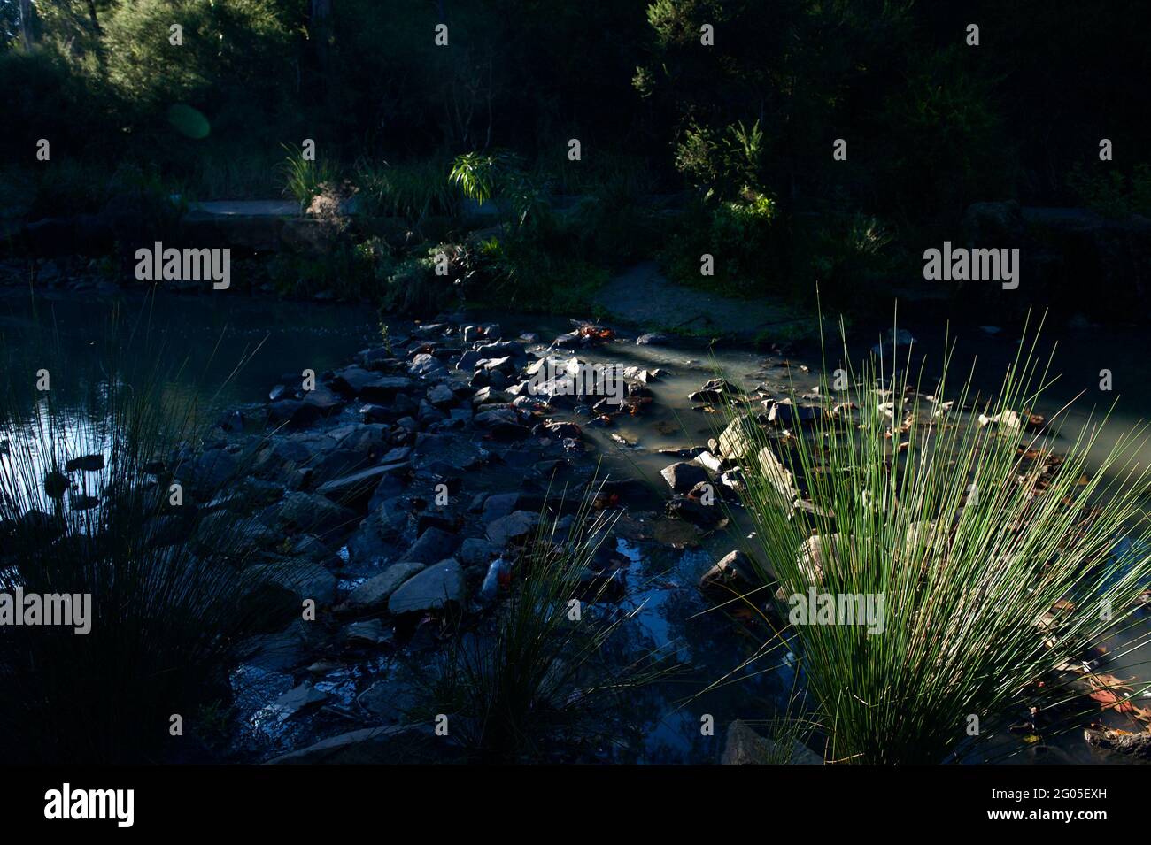 Una piccola insenatura corre nella parte superiore del lago di Ringwood nella città di Maroondah, Victoria, Australia. È poco profondo e roccioso e ombreggiato da alberi. Foto Stock