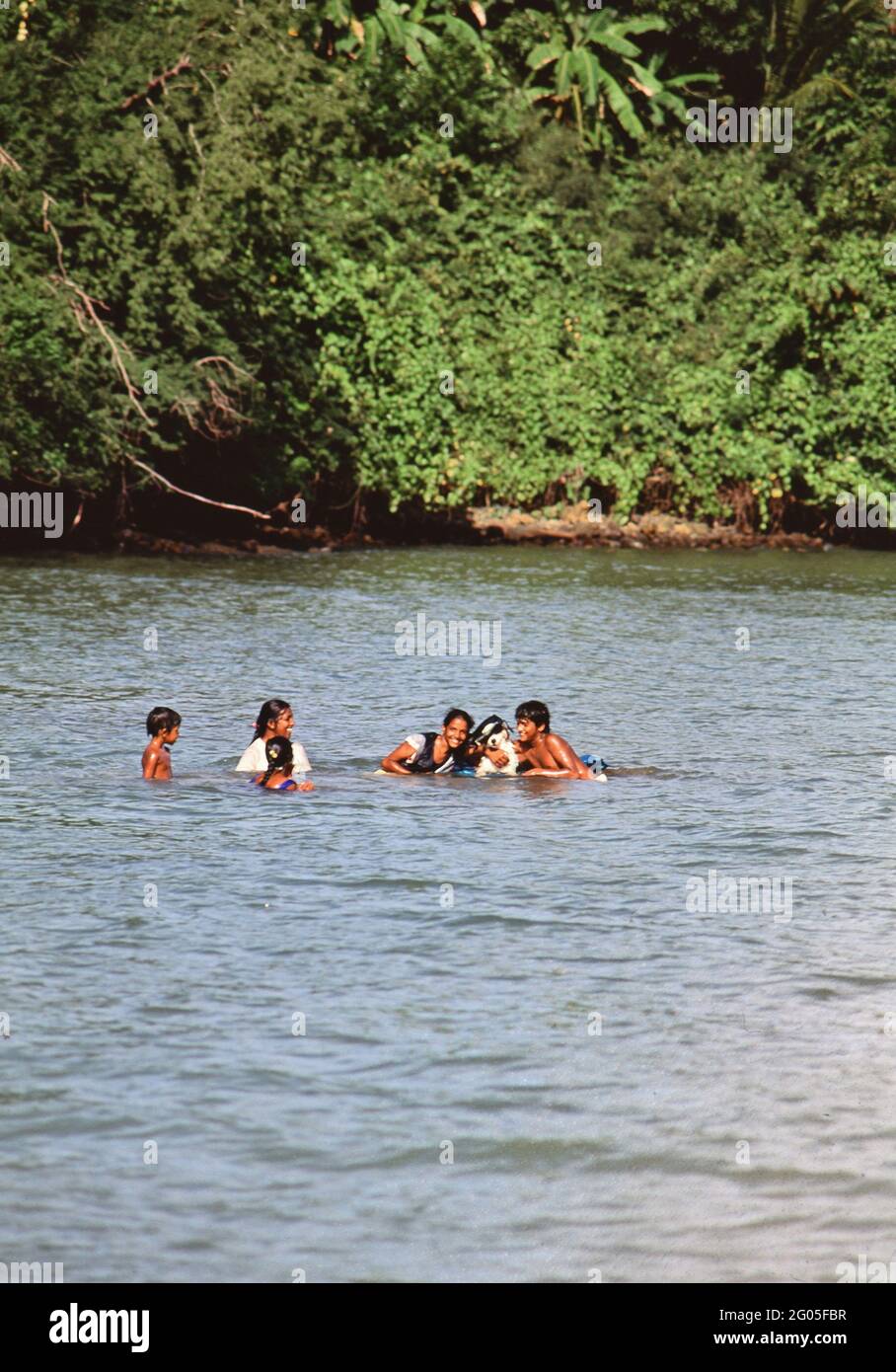 Novanta Trinidad e Tobago - i bambini locali, sia Caraibi che Indiani d'Oriente danno ai loro cani un giro in acqua (Tobago, 1996) Foto Stock