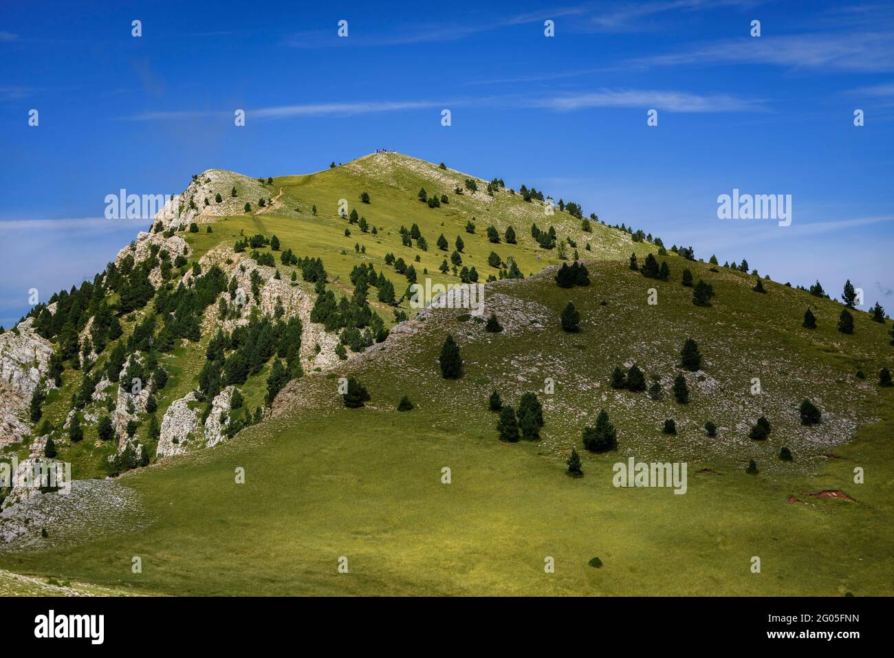 Catena montuosa dell'Ensija vista da vicino al rifugio Ensija (Berguedà, Catalogna, Spagna, Pirenei) ESP: Vista General de la Serra de Ensija desde la parte alta Foto Stock