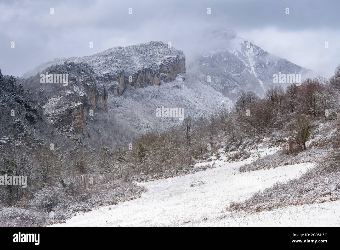 Foresta della valle Bastareny sotto una forte nevicata invernale (Berguedà, Catalogna, Spagna, Pirenei) ESP: Bosque del valle del Bastareny en una nevada Foto Stock