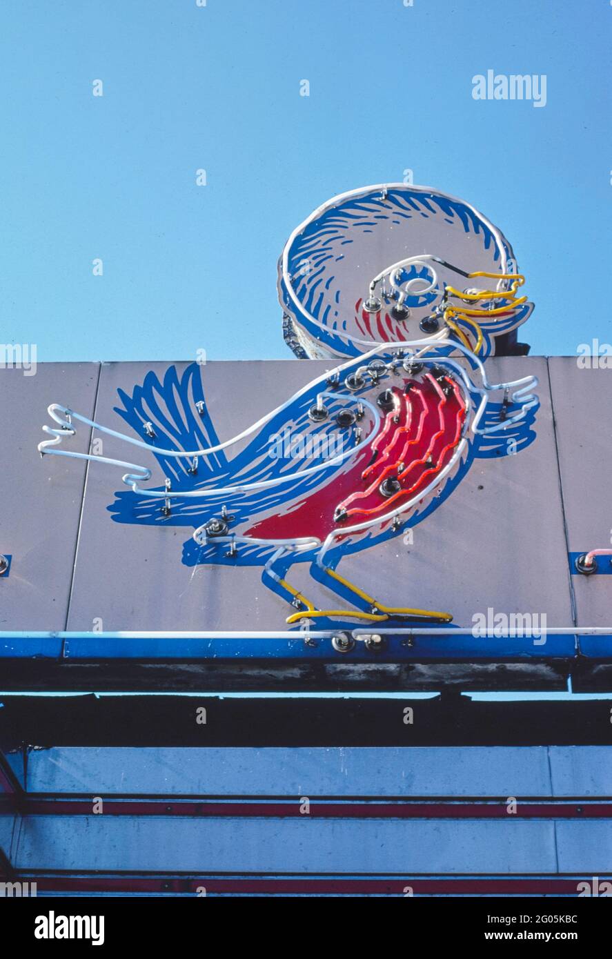 1980 Stati Uniti - Red Robin Diner Sign, Johnson City, New York 1988 Foto Stock