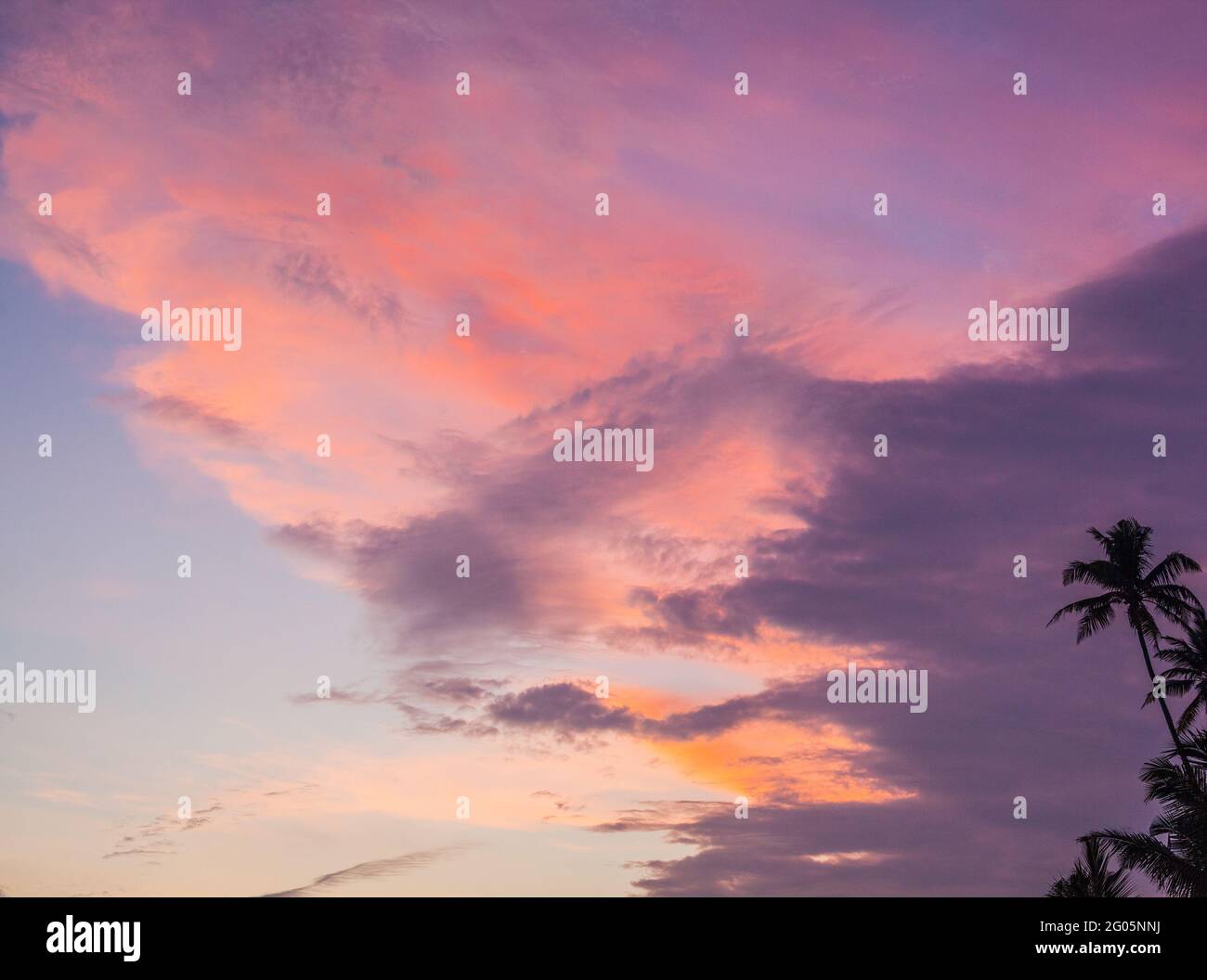 Nuvole rosa e arancione e scure, cielo blu e palme, Polhena, Provincia meridionale, Sri Lanka Foto Stock