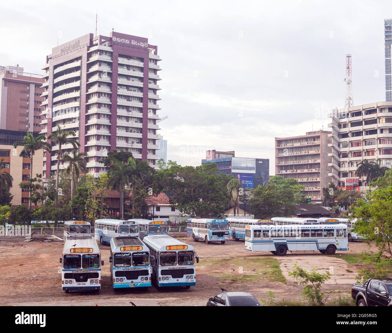 Iarda piena di ashok leyland parcheggiato autobus a un solo piani Sri Lanka, Colombo, Sri lanka Foto Stock