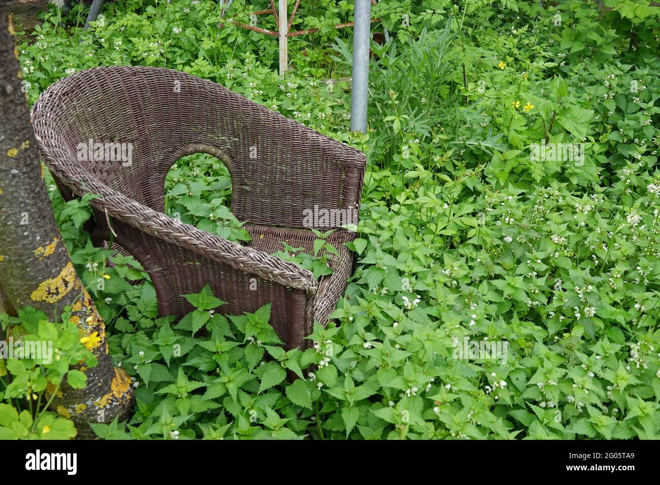 Sedia nel verde Foto Stock