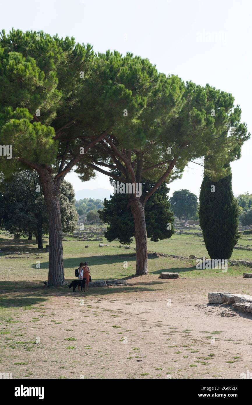 Area archeologica di Paestum, UNESCO; Patrimonio dell'Umanità, provincia di Salerno, Campania, Italia, Europa Foto Stock