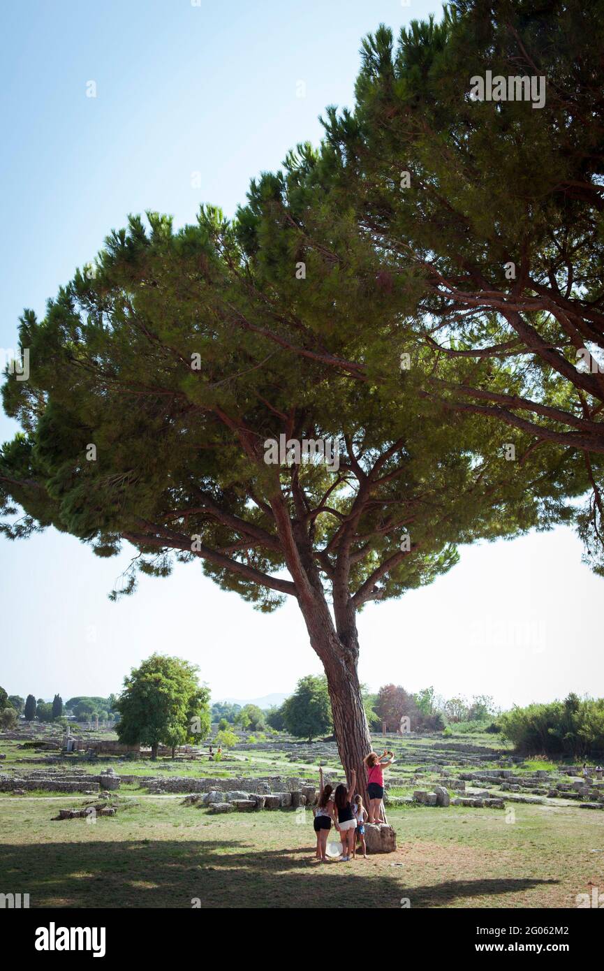 Area archeologica di Paestum, UNESCO; Patrimonio dell'Umanità, provincia di Salerno, Campania, Italia, Europa Foto Stock