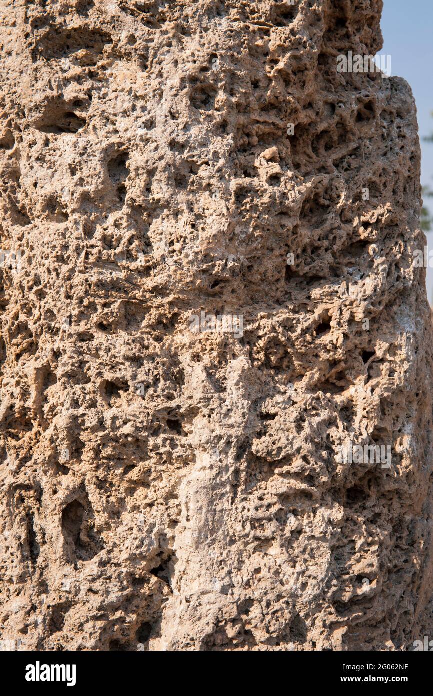 Area archeologica di Paestum, UNESCO; Patrimonio dell'Umanità, provincia di Salerno, Campania, Italia, Europa Foto Stock
