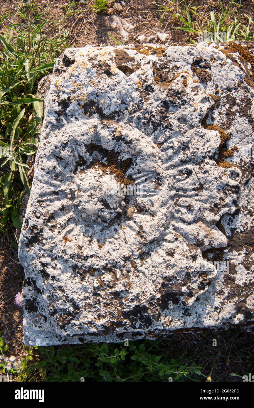 Area archeologica di Paestum, UNESCO; Patrimonio dell'Umanità, provincia di Salerno, Campania, Italia, Europa Foto Stock