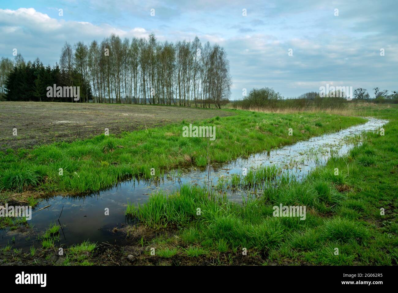 Fosso con acqua e alberi oltre il campo, Zarzecze, Polonia Foto Stock