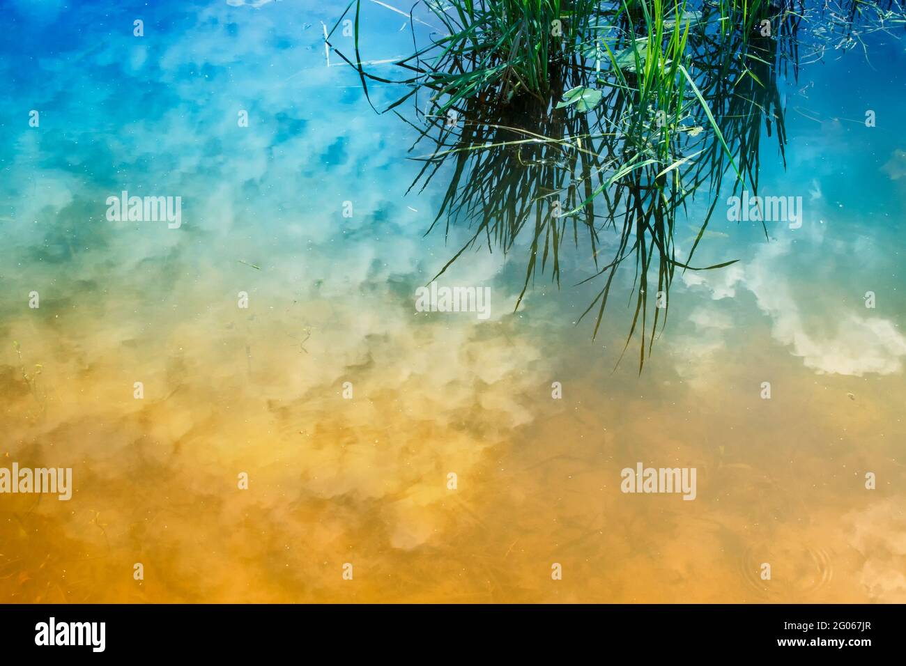 Riflesso d'acqua del cielo, Bengala rurale a Howrah, Bengala occidentale, India Foto Stock