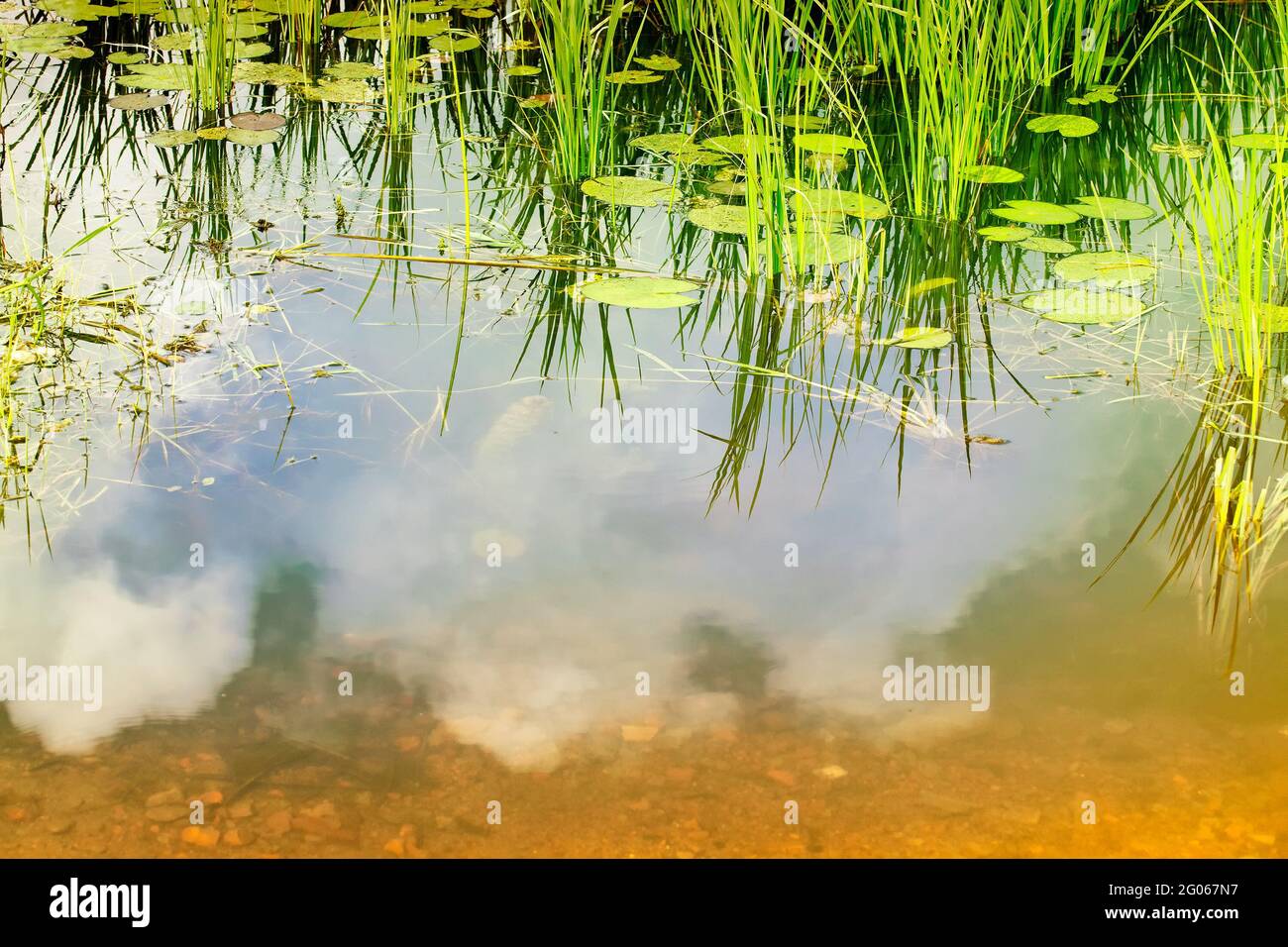 Riflesso d'acqua del cielo, Bengala rurale a Howrah, Bengala occidentale, India Foto Stock