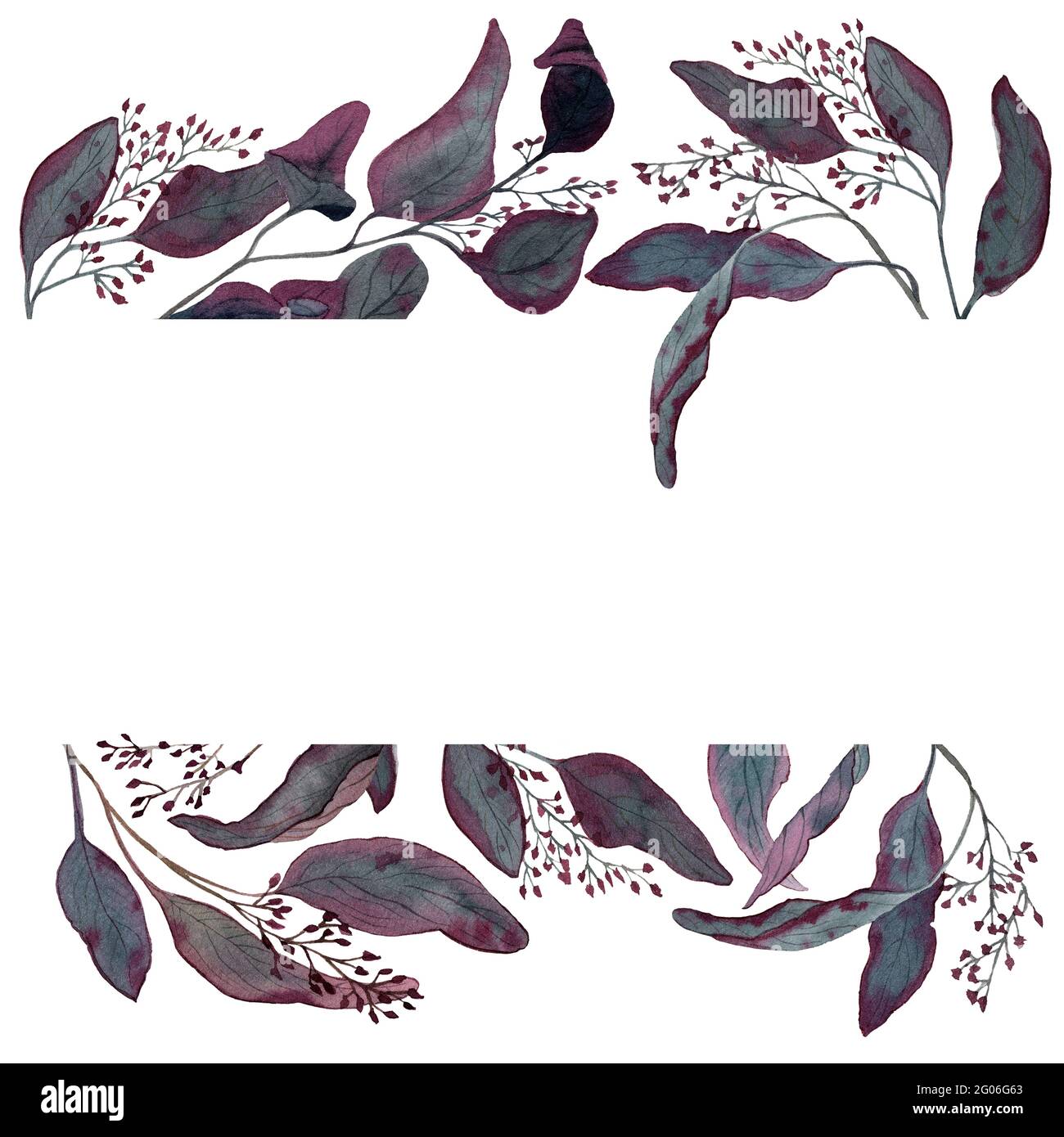Colore dell'acqua bordo senza giunture di eucalipto rosso con semi. Illustrazione botanica decorativa. Design per imballaggio, carta da parati, biglietti d'auguri Foto Stock
