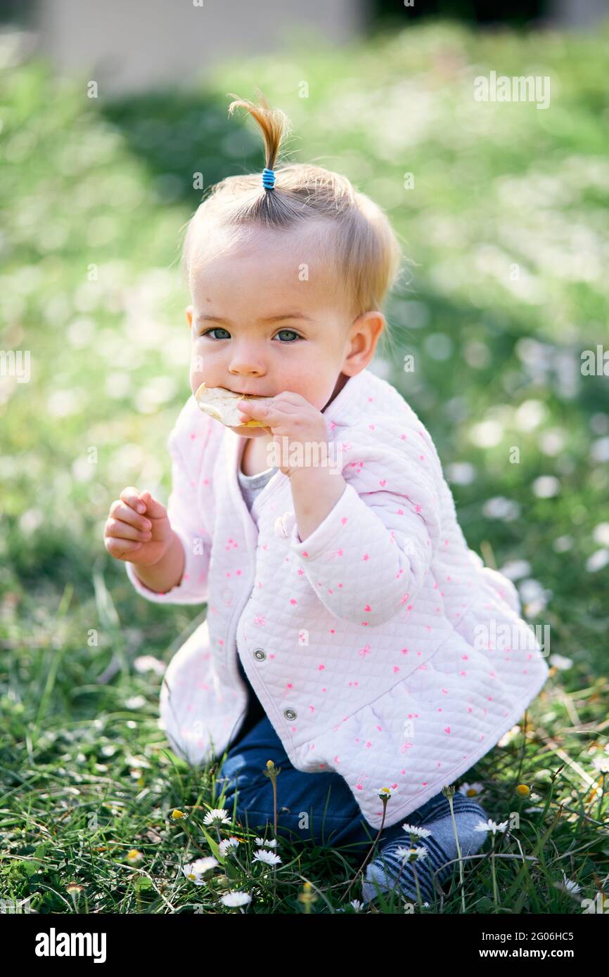 Bambina piccola con un ponytail sulla sua testa gnaws un chip di frutta  seduta sulle ginocchia su un prato verde tra fiori Foto stock - Alamy