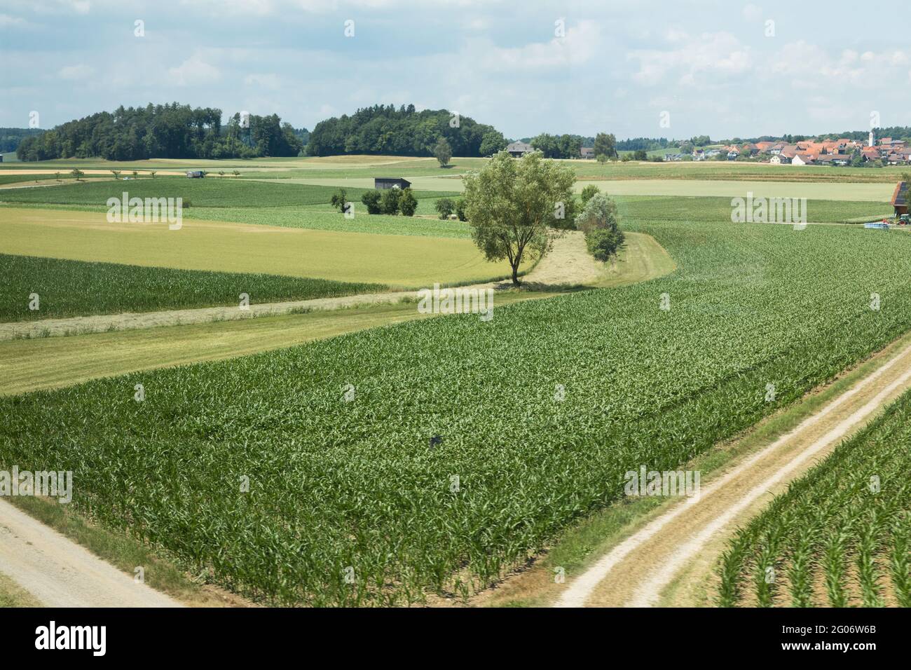 Idilliaci, ampi campi agricoli aperti in Svizzera. Piccola città sullo sfondo. Foto Stock