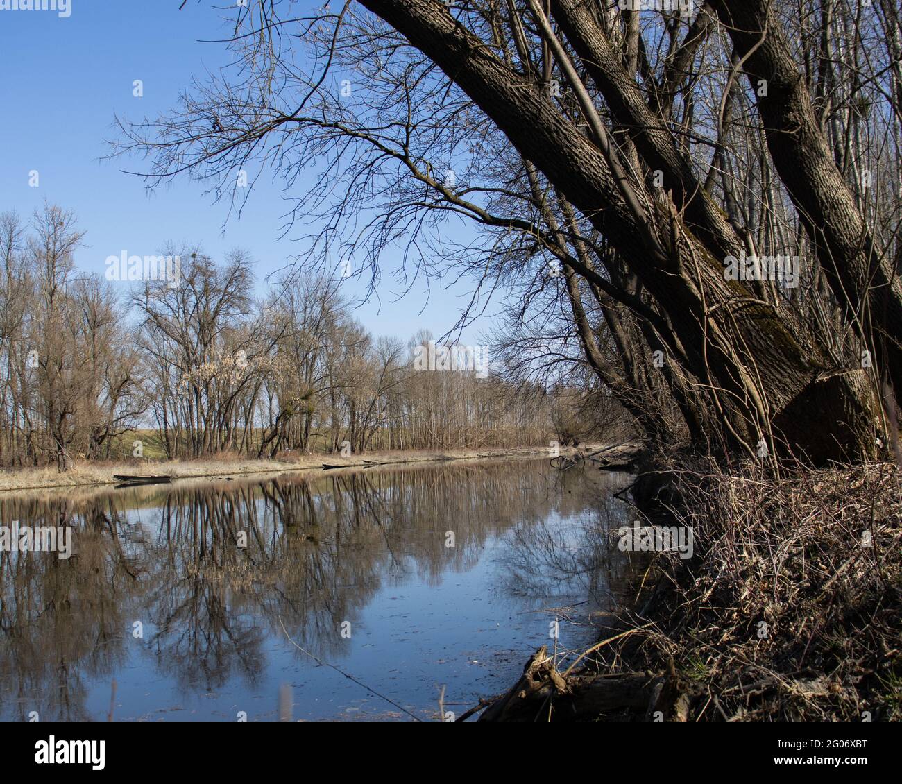 Vista sulla riva del fiume con cielo blu Foto Stock