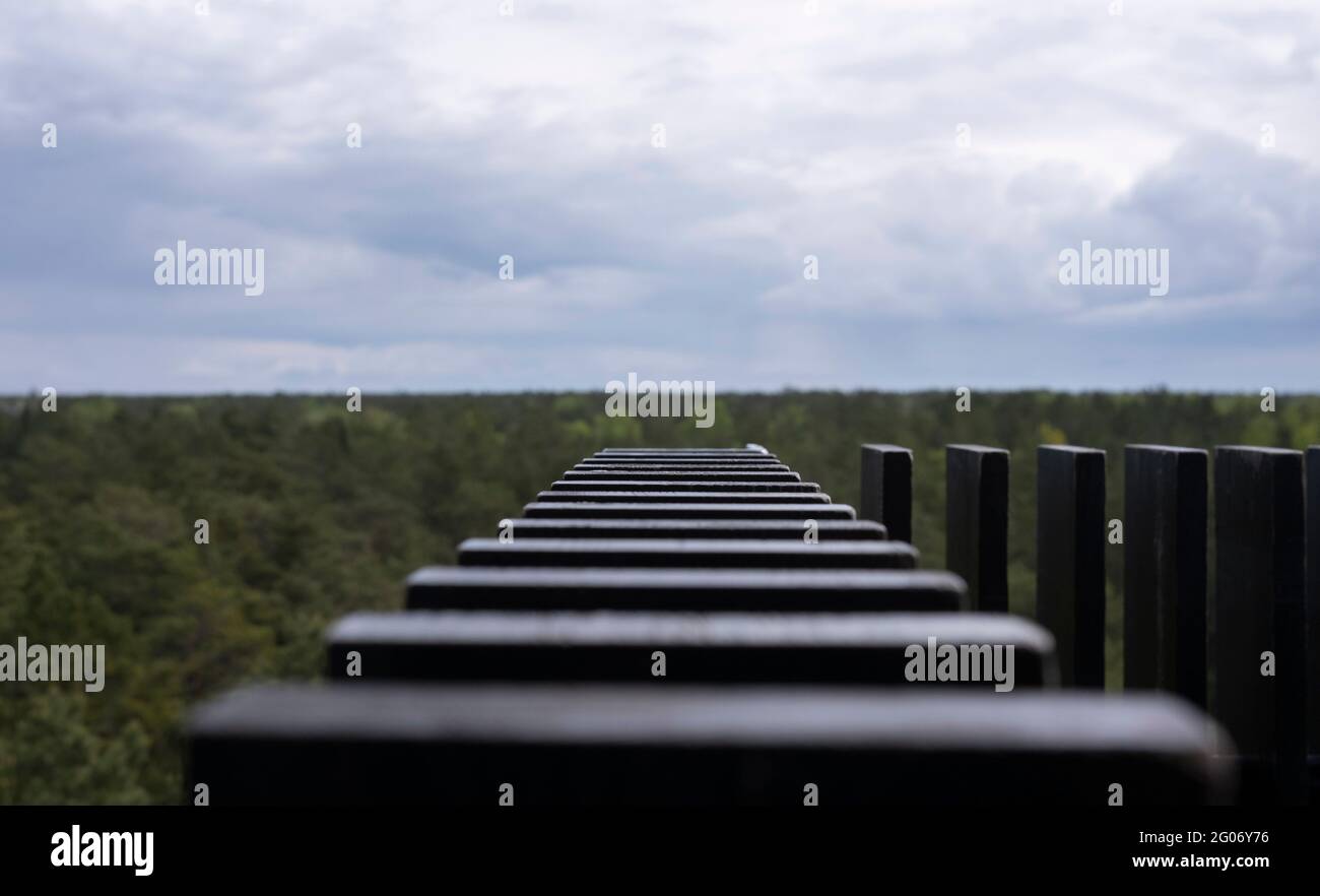 Vew orizzonte osservato sopra recinto di legno sulla cima della torre di osservazione in Jurmala Lettonia Foto Stock