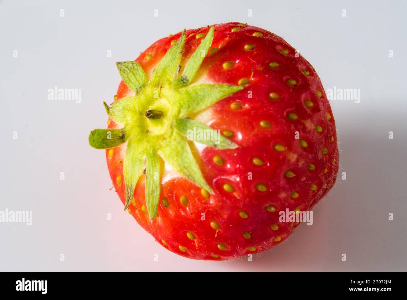 Grootebroek, Paesi Bassi, maggio 2021. Primo piano di fragola rossa su sfondo bianco. Foto di alta qualità. Primo piano. Macro Foto Stock