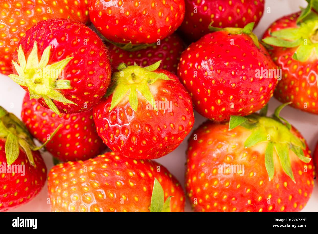 Grootebroek, Paesi Bassi, maggio 2021. Primo piano di fragole rosse.. Foto di alta qualità. Primo piano. Macro Foto Stock