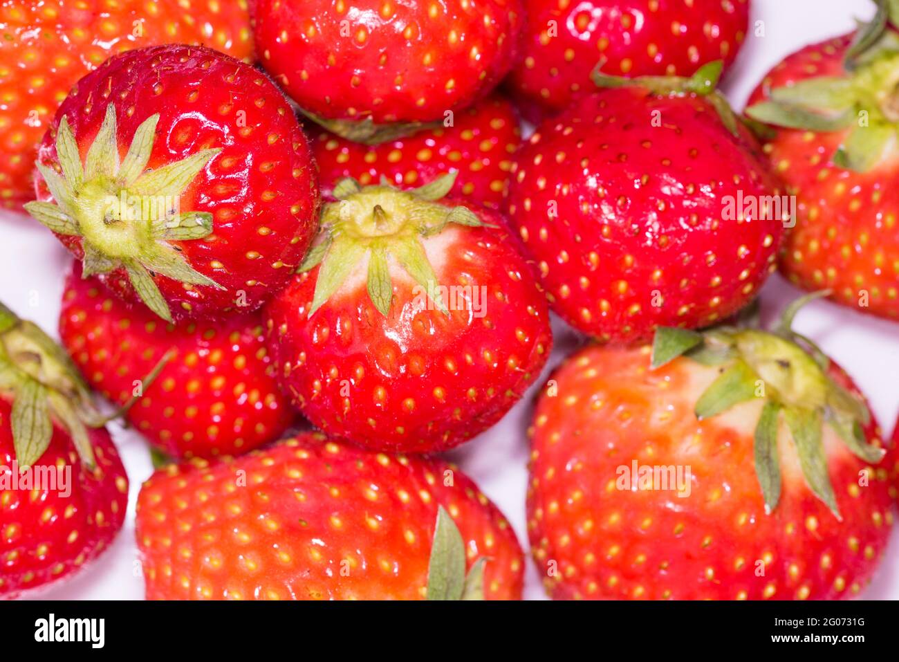 Grootebroek, Paesi Bassi, maggio 2021. Primo piano di fragole rosse.. Foto di alta qualità. Primo piano. Macro Foto Stock